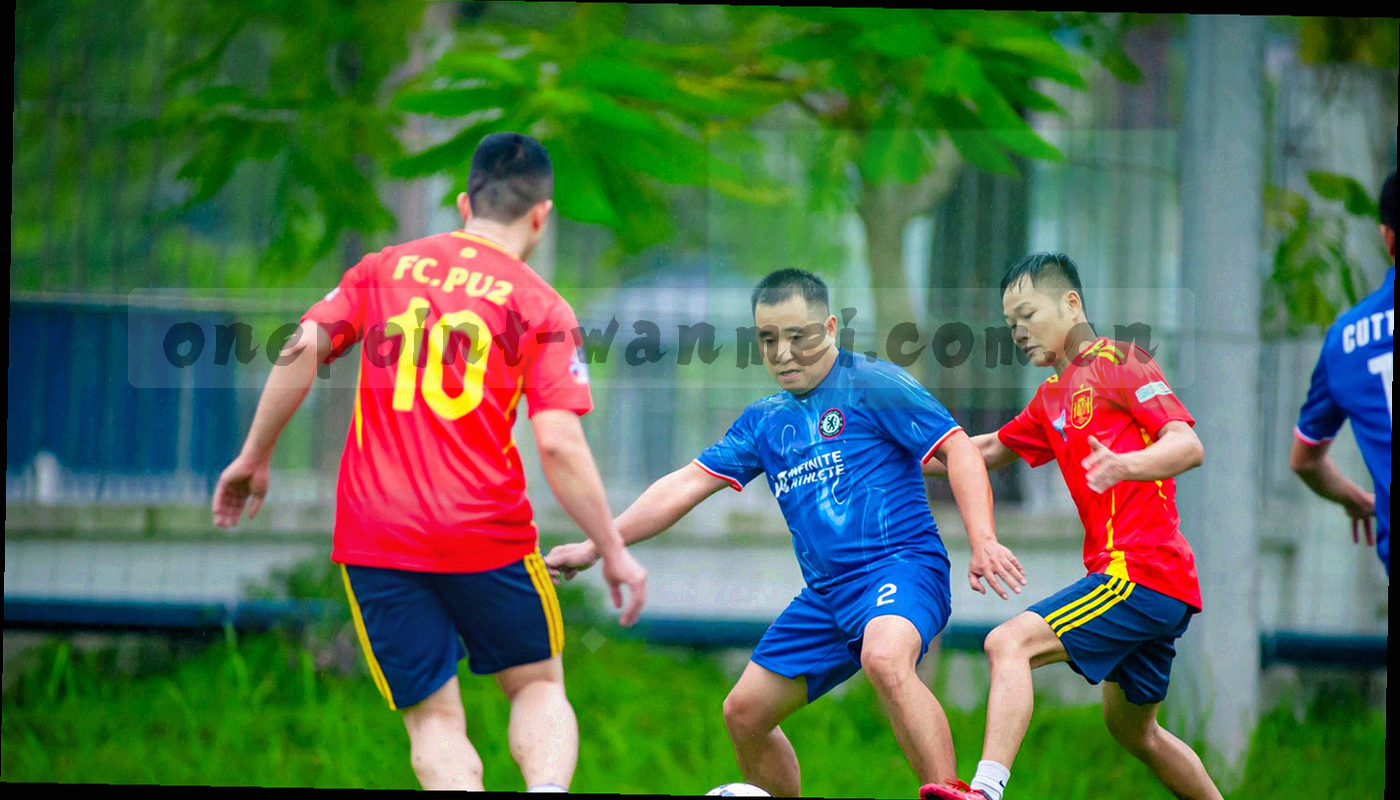 按分类排列的抽象目录条与标签图形，深墨绿底色配荧光青描边